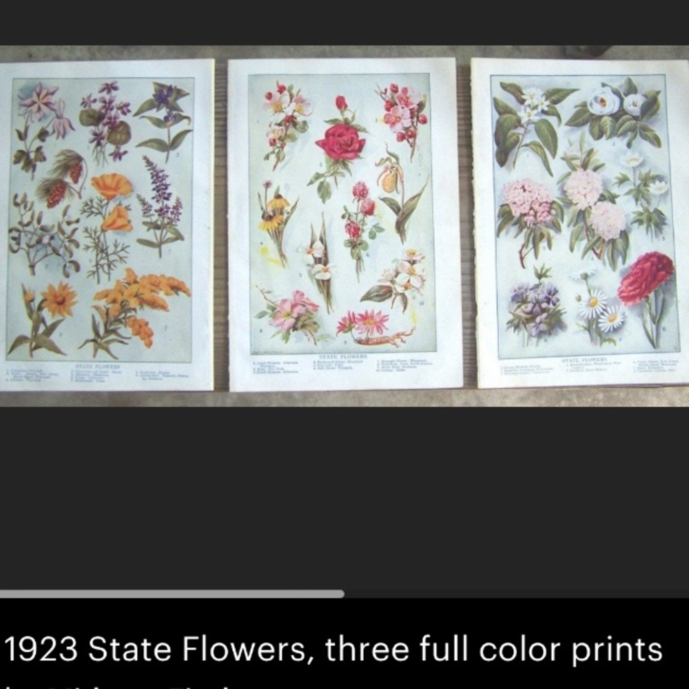 1923 State Flowers, three full color prints